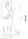 Fig. 47 - Lithium complex oxide for lithium secondary battery positive active material and method of preparing the same