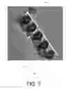 Fig. 08 - Integrated electrode-electrolyte unit