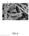 Fig. 09 - Integrated electrode-electrolyte unit