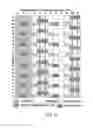 Fig. 08 - Reference signal transmission method and apparatus