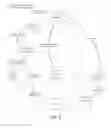Fig. 07 - Spoofing detection for a wireless system