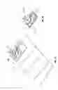 Fig. 03 - Multishot tilt optical image stabilization for shallow depth of field