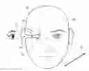 Fig. 01 - Double-image projection device projecting double images onto 3-dimensional ear canal model
