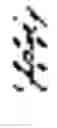 Fig. 02 - Methods of palette coding with inter-prediction in video coding