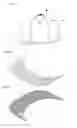 Fig. 02 - HAT HAVING FOLDABLE BRIM FORMED THEREON