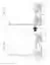 Fig. 04 - Selectively locking merchandising member