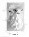 Fig. 17 - Display stand
