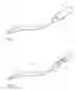 Fig. 02 - INTERGLUTEAL CLEFT CLEANING DEVICE