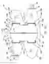 Fig. 07 - Elbow brace