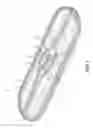 Fig. 02 - Sanitary pad