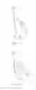 Fig. 08 - SMART EQUIPMENT WITH BIDIRECTIONAL DIAGNOSIS AND THERAPY DEVICE