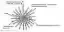 Fig. 01 - Perivascular drug delivery system