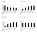 Fig. 03 - Perivascular drug delivery system