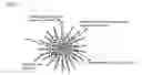 Fig. 04 - Perivascular drug delivery system