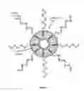 Fig. 02 - IMMUNO-REGULATORY LIPID CONTAINING SPHERICAL NUCLEIC ACIDS