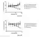 Fig. 06 - IMMUNO-REGULATORY LIPID CONTAINING SPHERICAL NUCLEIC ACIDS