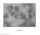 Fig. 06 - Pharmaceutical Composition of Killed Cells with Substantially Retained Immunogenicity