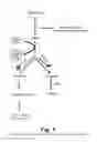 Fig. 02 - METHODS OF TREATING CANCER