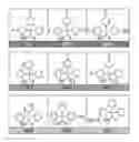 Fig. 01 - Methods for treating malaria using potassium channel inhibitors