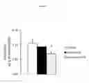 Fig. 02 - COMPOUND USE IN PROMOTING ENERGY EXPENDITURE