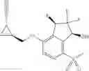 Fig. 863 - Compositions for use in treating glioblastoma