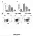 Fig. 07 - Method of Treating Transplant Rejection and Autoimmune Diseases