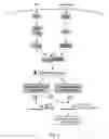 Fig. 02 - Compositions and methods for treating COPD and other inflammatory conditions