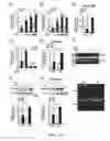 Fig. 03 - Compositions and methods for treating COPD and other inflammatory conditions