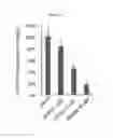 Fig. 06 - Methods and compositions for treating bacterial infection