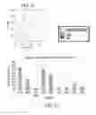 Fig. 06 - ISOLATED POPULATIONS OF RENAL STEM CELLS AND METHODS OF ISOLATING AND USING SAME