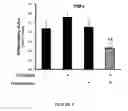Fig. 06 - Topical Halobacteria extract composition for treating radiation skin tissue damage
