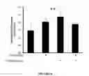 Fig. 07 - Topical Halobacteria extract composition for treating radiation skin tissue damage