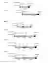 Fig. 04 - Oncolytic adenovirus encoding a B7 protein