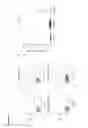 Fig. 28 - Oncolytic adenovirus encoding a B7 protein