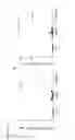 Fig. 30 - Oncolytic adenovirus encoding a B7 protein