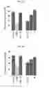 Fig. 08 - Method of treating neurological conditions with extract of species or species