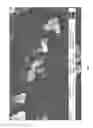 Fig. 07 - Multifunctional formulation comprised of natural ingredients and method of preparation/manufacturing thereof
