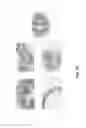 Fig. 40 - IMMUNOMODULATORY COMPOSITIONS