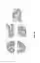 Fig. 41 - IMMUNOMODULATORY COMPOSITIONS