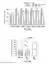 Fig. 04 - RECOMBINANT GLUT1 ADENO-ASSOCIATED VIRAL VECTOR CONSTRUCTS AND RELATED METHODS FOR RESTORING GLUT1 EXPRESSION