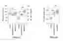 Fig. 07 - RECOMBINANT GLUT1 ADENO-ASSOCIATED VIRAL VECTOR CONSTRUCTS AND RELATED METHODS FOR RESTORING GLUT1 EXPRESSION