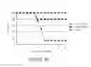 Fig. 41 - Influenza virus vectors and uses therefor