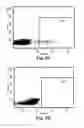 Fig. 08 - RECALL ANTIGEN FOR PROMOTING T-HELPER TYPE 1 RESPONSE