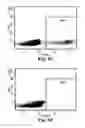 Fig. 09 - RECALL ANTIGEN FOR PROMOTING T-HELPER TYPE 1 RESPONSE