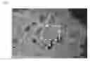Fig. 03 - Superabsorbent polymer and method for preparing the same