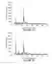 Fig. 30 - Metallo-silicate catalyst (MSC) compositions, methods of preparation and methods of use in partial upgrading of hydrocarbon feedstocks