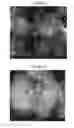 Fig. 33 - Metallo-silicate catalyst (MSC) compositions, methods of preparation and methods of use in partial upgrading of hydrocarbon feedstocks
