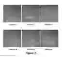 Fig. 03 - Ion-exchange membrane with multi-layered support substrate