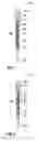 Fig. 02 - Pipette components useful for medical diagnostics