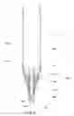 Fig. 06 - Retractable nozzle for dosing or dispensing high viscosity materials
